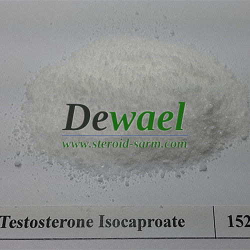 Testosterone Isocaproate Powder